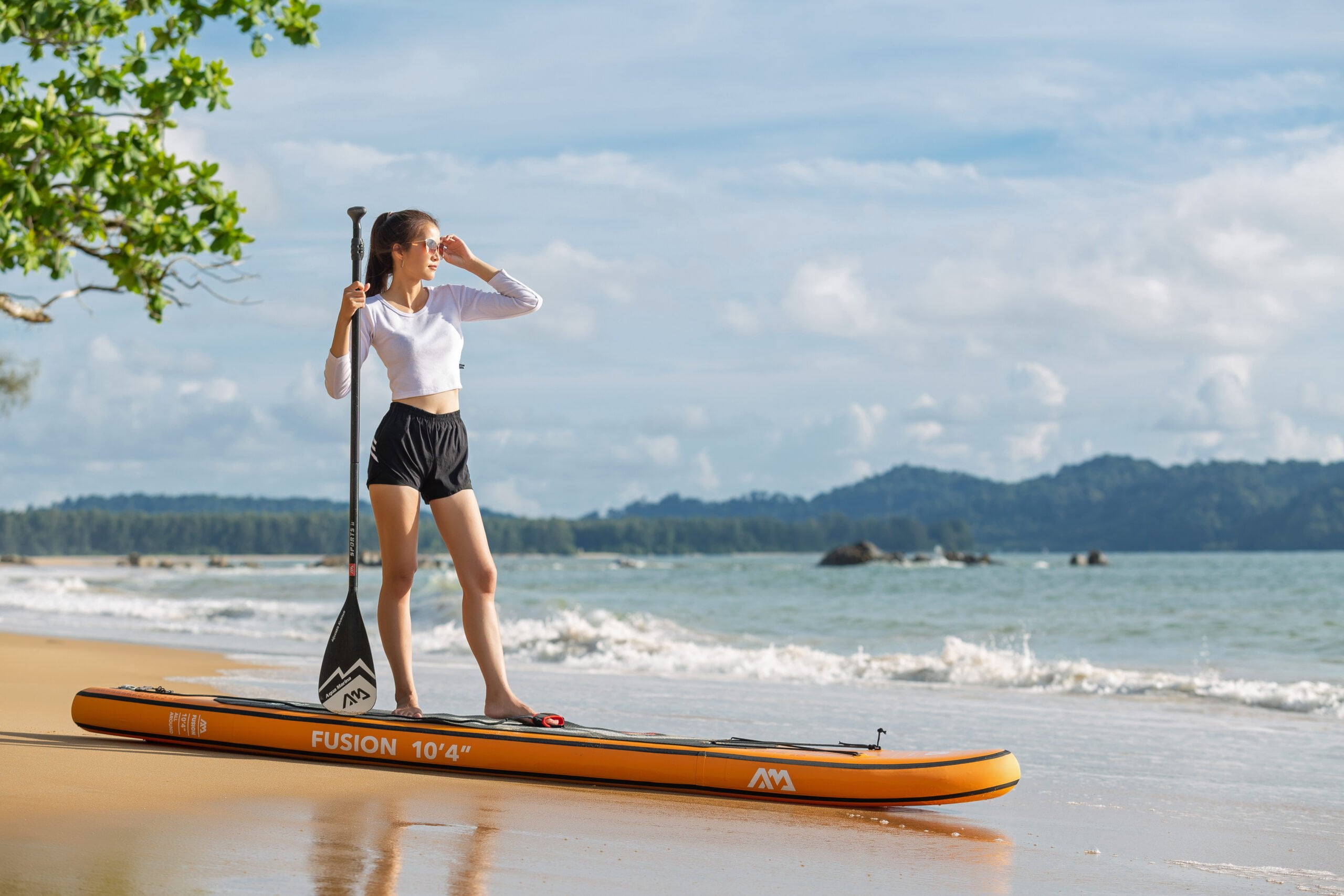 Stand Up Paddle Board im Meer